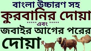 কোরবানির পশু জবাই করার দোয়া | কুরবানী করার দোয়া | কোরবানির দোয়া ও নিয়ত | কোরবানির দোয়া বাংলা