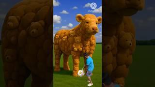 The mascot vibrato assistant placedonthe football field is popular, co-produced, creative new spe