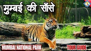 Mumbai National Park | Sanjay Gandhi National Park | Kanheri Caves | #sgnp #borivali #mumbai