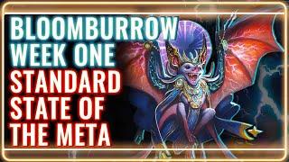 MTG Standard Decks Tier List for Bloomburrow Week 1 | MTG Rebellion State of the Meta