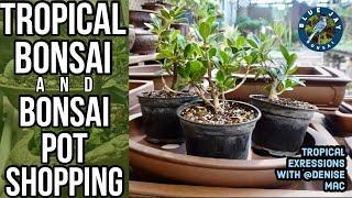 Tropical Bonsai & Bonsai Pot Shopping - A Visit to Tropical Expression with Denise Mac