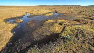 More than just a peat bog