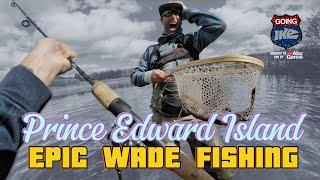 EPIC Fall Trout Fishing in CANADA! Trout Fishing Galore with Ike & Vegas!