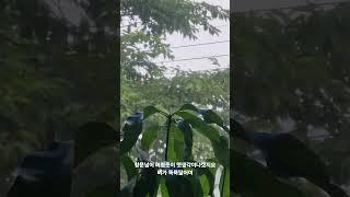 #비#창문