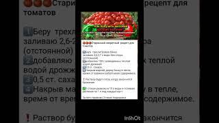старый рецепт подкормки помидор.