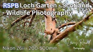 RSPB Loch Garten and AMAZING Scottish Red Squirrels - Cairngorms Wildlife Photography