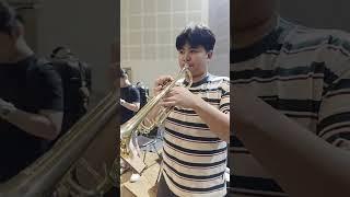 รีวิว Trumpet New Line  New Line Instrument #trumpet #trombone #musician #music