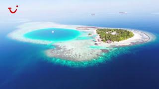 Dein Traumurlaub auf den Malediven im  Baros Maldives⭐⭐⭐⭐⭐