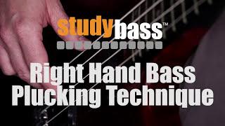 Plucking: Right Hand Bass Technique | StudyBass