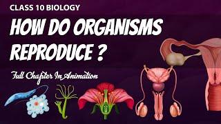 How Do Organisms Reproduce Full Chapter in Animation |Class 10th Science CH-6| NCERT covered|