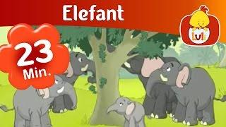 Elefant - episod lung, pentru copii - Luli TV