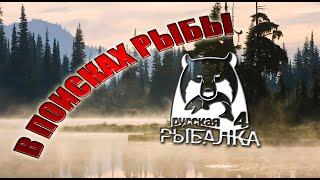 Подпивасные посиделки на природе | Русская рыбалка 4