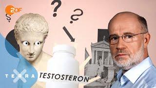 Testosteron: Wann ist ein Mann ein Mann? | Leschs Kosmos | Harald Lesch