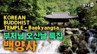 부처님 오신날 특집 백양사 한국의 전통사찰 KOREAN BUDDHIST TEMPLE, Baekyangsa | 석가모니 부처님 부처님 사리 사찰여행 추천여행 불교 힐링여행