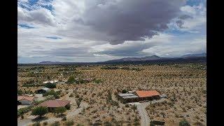 Borrego Palms