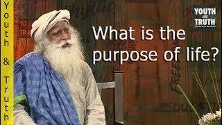 What is the purpose of life? | Youth and Truth | Sadhguru Speech