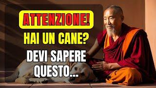 INCREDIBILE: Cosa Dice il Buddismo per chi ha un CANE in CASA | Saggezza Buddista