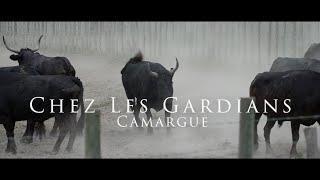 Camargue. Chez les Gardians, bei den Gardians, die berittenen Stierhirten, die Cowboys Frankreichs