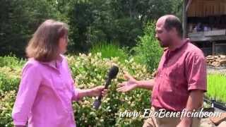 EcoBeneficial Interview: Growing Local Native Plants at Earth Tones Native Nursery