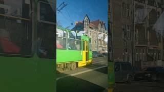 Tramwaje Poznańskie #shorts #tram #tramvaj #tramwaj #tramwaje @milosnikkm