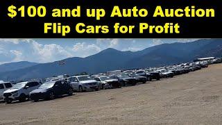 IAA Insurance Auto Auction ~ Car Auction Walkaround Preview & Walkaround