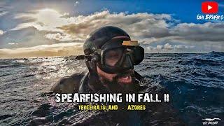 Spearfishing in Fall II  -  Azores 2023