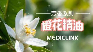 橙花精油 & 精油DIY建議配方｜幫助改善女性更年期症狀｜壓力釋放｜身心靈釋放｜天然潤膚成分【芳香系列】MEDICLINK美特博霖