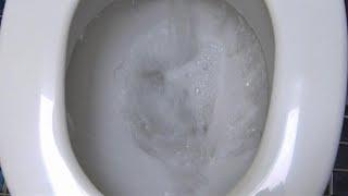 Toilet Flush Sound Effect - Refilling Toilet Cistern Sound - with Video