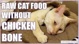 How to make Raw Cat Food WITHOUT Bones! - Chicken Bone Substitutions / Cat Lady Fitness