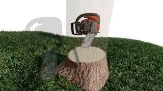 8- Technique arbre léger penchant opposé en coupe par moitié