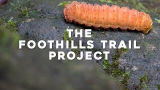 The Foothills Trail Project | Documentary Film