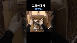 고물로 들어온 새제품 언박싱(4)