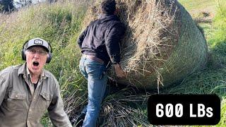 Retrieving 600 Lb Bales from 1000 Ft Cliff  || Alaska's Last Frontier