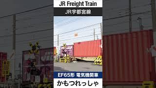 【踏切】JR宇都宮線を走る貨物列車【電車が大好きな子供向け】Japanese Trains for Kids - Freight Train