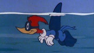 Woody, the Fish Whisperer | 2.5 Hours of Classic Episodes of Woody Woodpecker