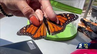 Upcoming activities highlight monarch butterfly migration season