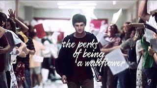 The perks of being a wallflower // Charlie