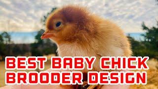 The BEST Baby Chick Brooder Box Design