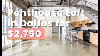 Penthouse Split Level LOFT in historic DOWNTOWN DALLAS! 2 balconies! Skyline views! 20 ft. ceiling!