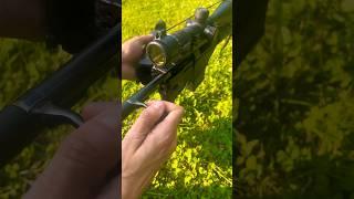 Satisfying Ruger Bolt Video #shorts