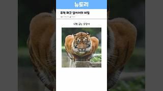 인디언 이름의 비밀