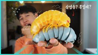 진짜 특이한 콩벌레 장난감 리뷰. 삼엽충 친척인줄 ㅋㅋ | 히히튜브