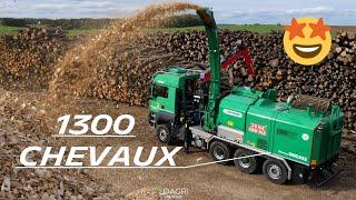 1300 CHEVAUX pour ce BROYEUR à PLAQUETTES ! 