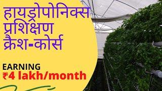 हिंदी में हाइड्रोपोनिक्स के बारे में जानें | 2021 | Hydroponic Masterclass | Learn Hydroponics