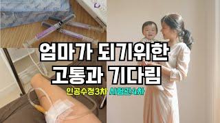 쌍둥이임신 | 난임부부에서 세아이의 부모가 되기까지