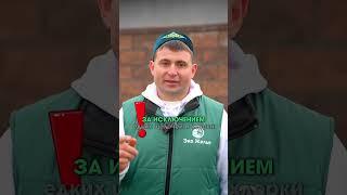 Топ 10 лучших бактерий для септиков