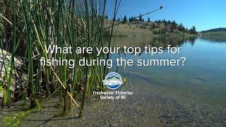 Fly Fishing FAQs: Tips for fishing during the summer | GoFishBC