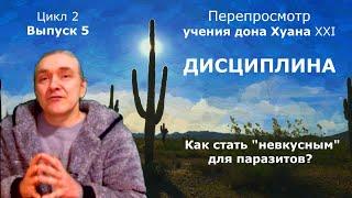 #5. Дисциплина на Пути Знания / Как стать невкусным… / Кратко: О чём Учение дона Карлоса Кастанеды