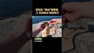 6/27 2025년 첫 무인도캠핑 시작합니다 #캠핑 #camping #english