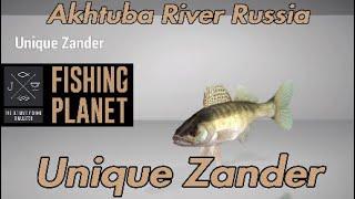 Unique Zander - Akhtuba River Russia - Fishing Planet Guide